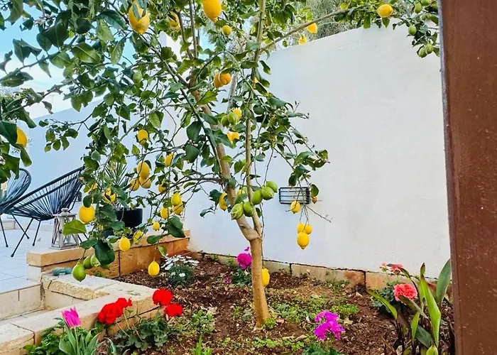 Apartment Close To Beach And Stjulians